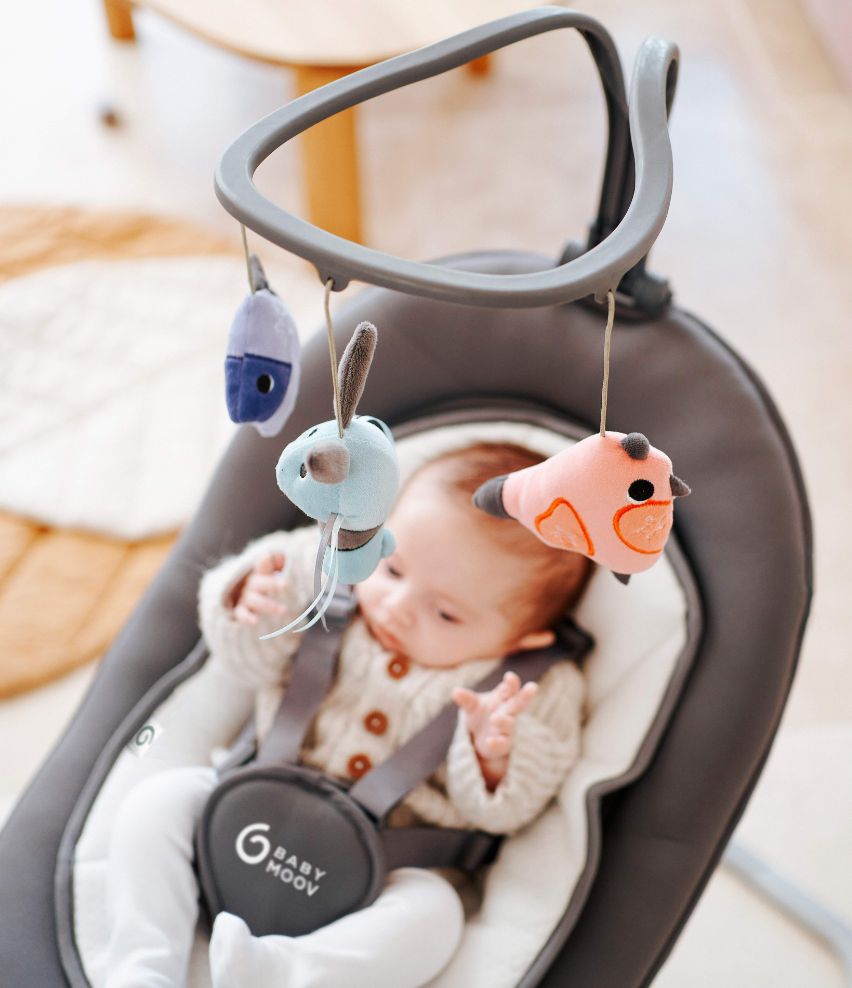 Swoon Motion Electric 360° Baby Swing Babymoov