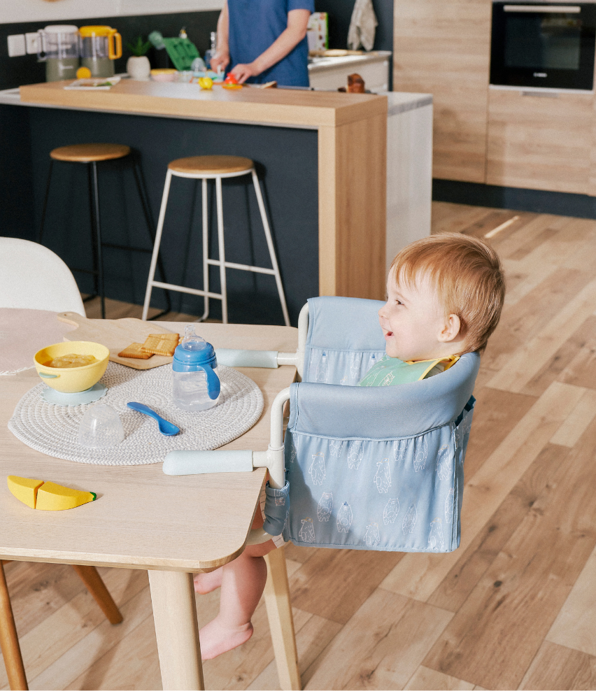 Hook-on Portable Highchair Baby Seat