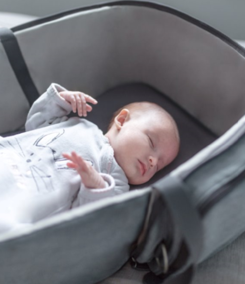 Travelnest Compact 2-in-1 Carrycot