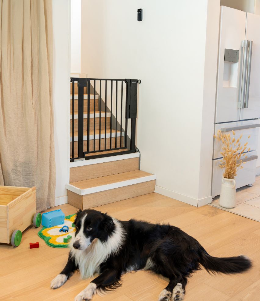 Safe & Pass Baby Safety Gate Extensions