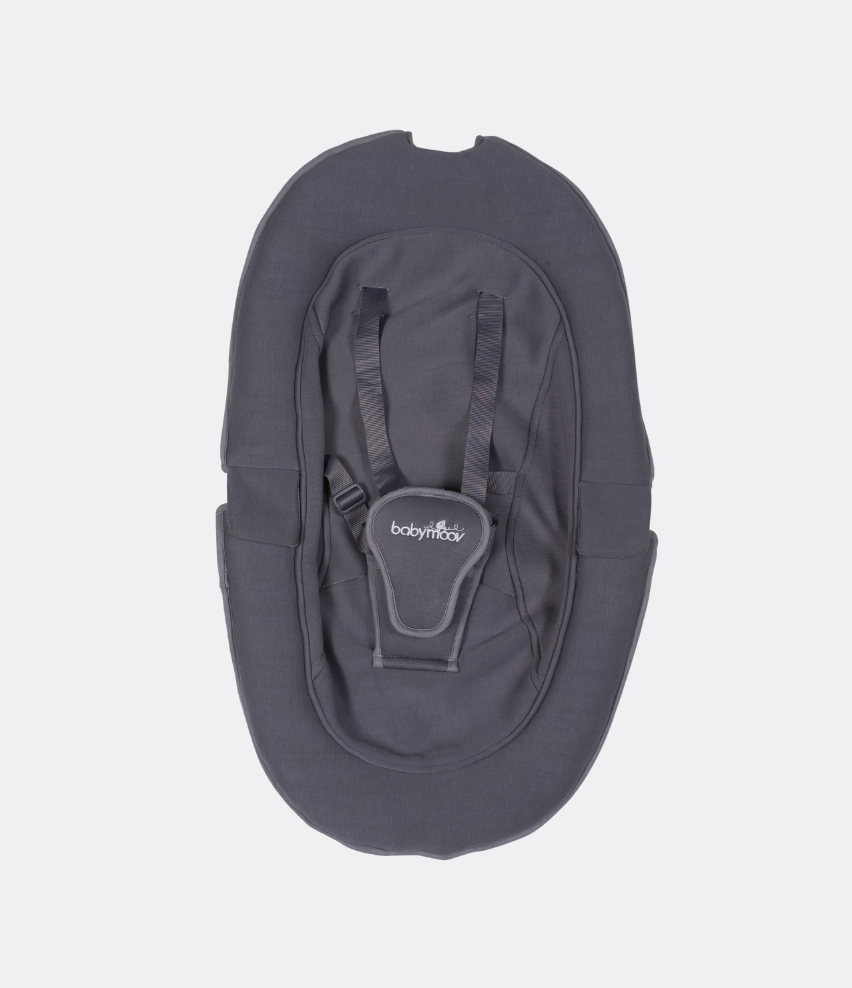 Seat cover with harness for Swoon Motion Baby Swing