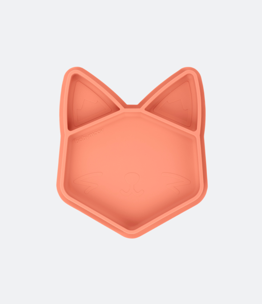 #colour_terracotta_fox