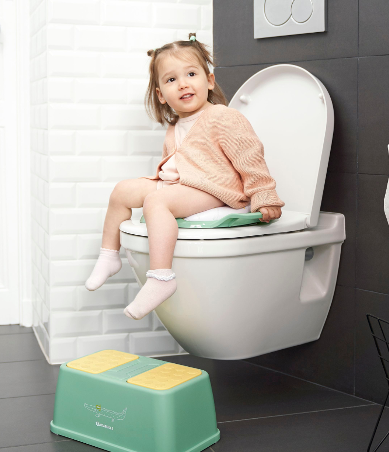 Toilet training seat with handles