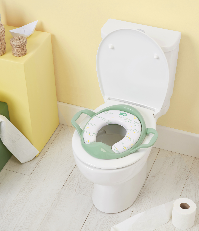 Toilet training seat with handles