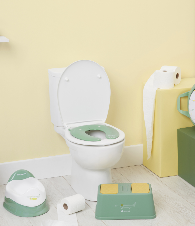 Toilet training seat with handles