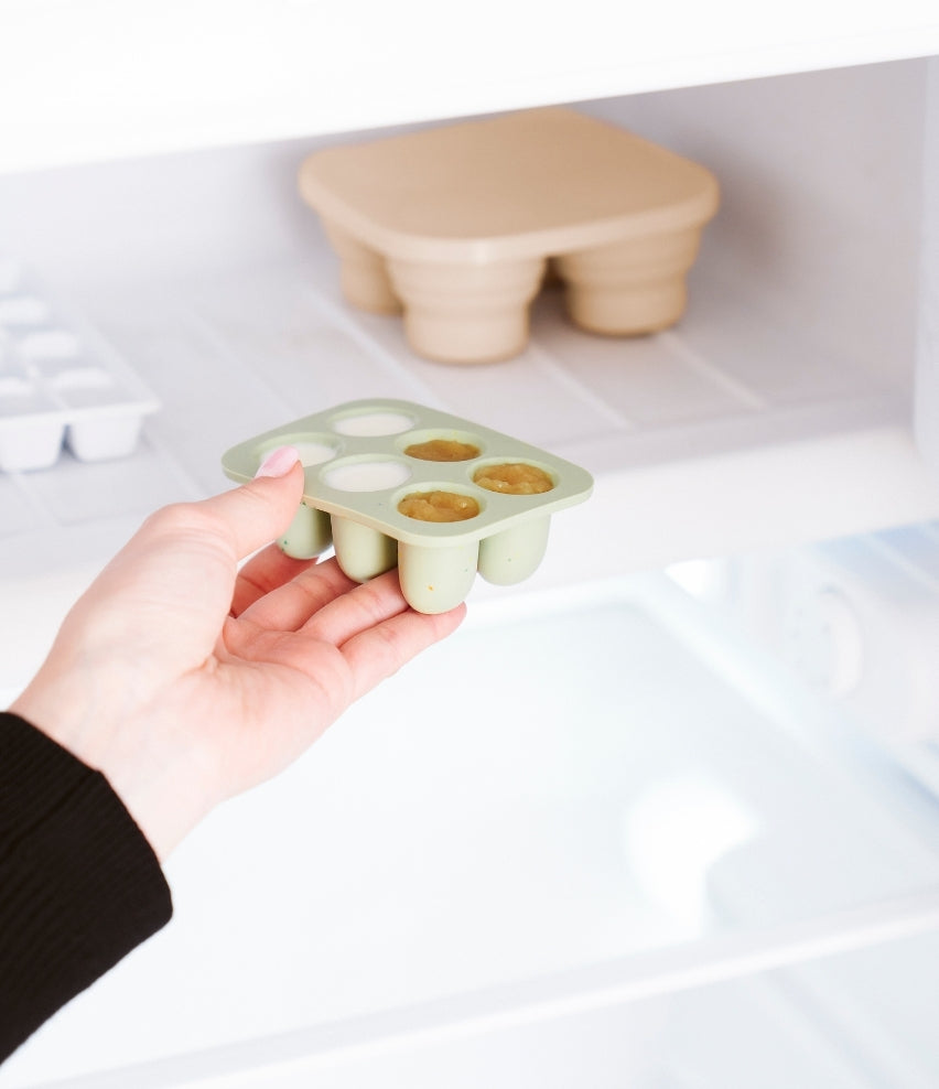 Silicone Food Storage Container Freezer Moulds and Baby Feeder Set