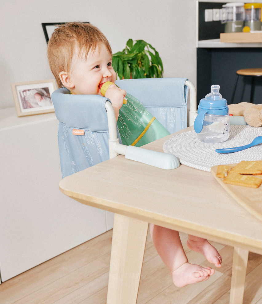 Hook-on Portable Highchair Baby Seat