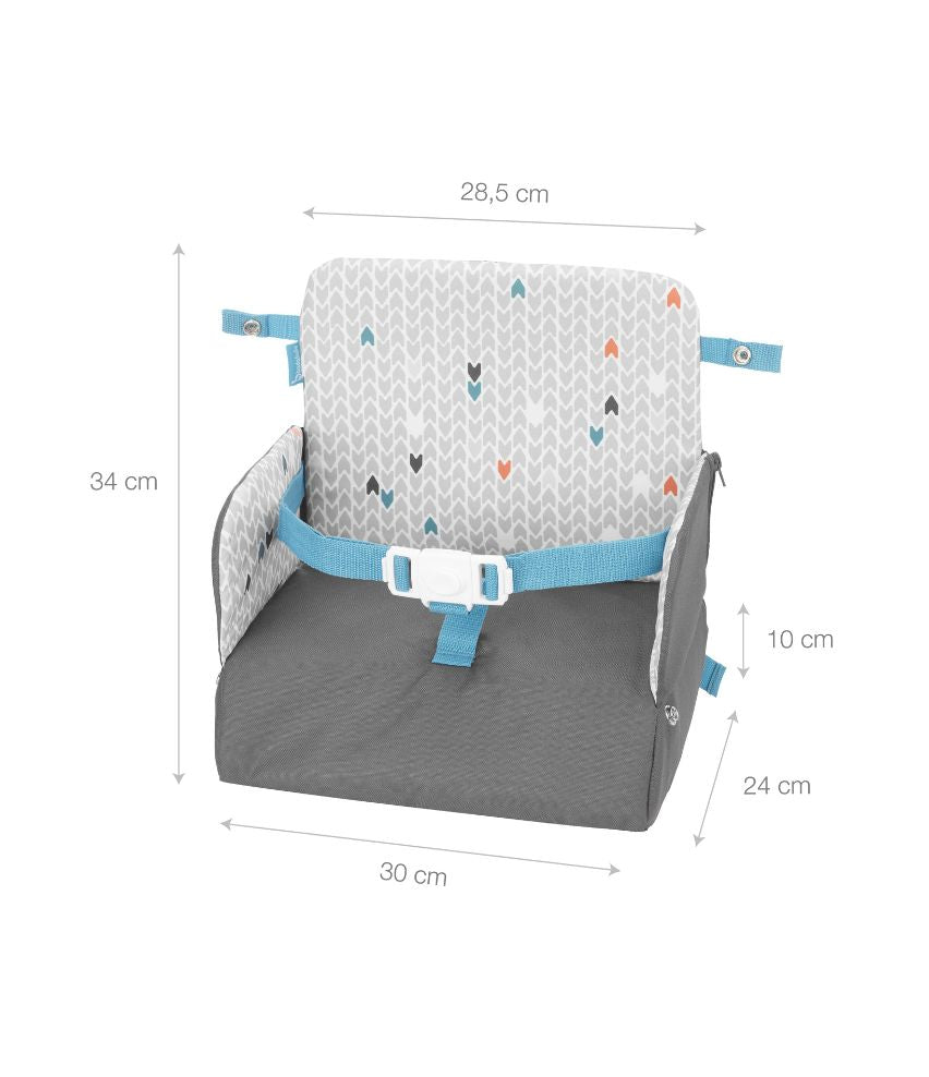 3in1 Travel Booster Seat & Backpack