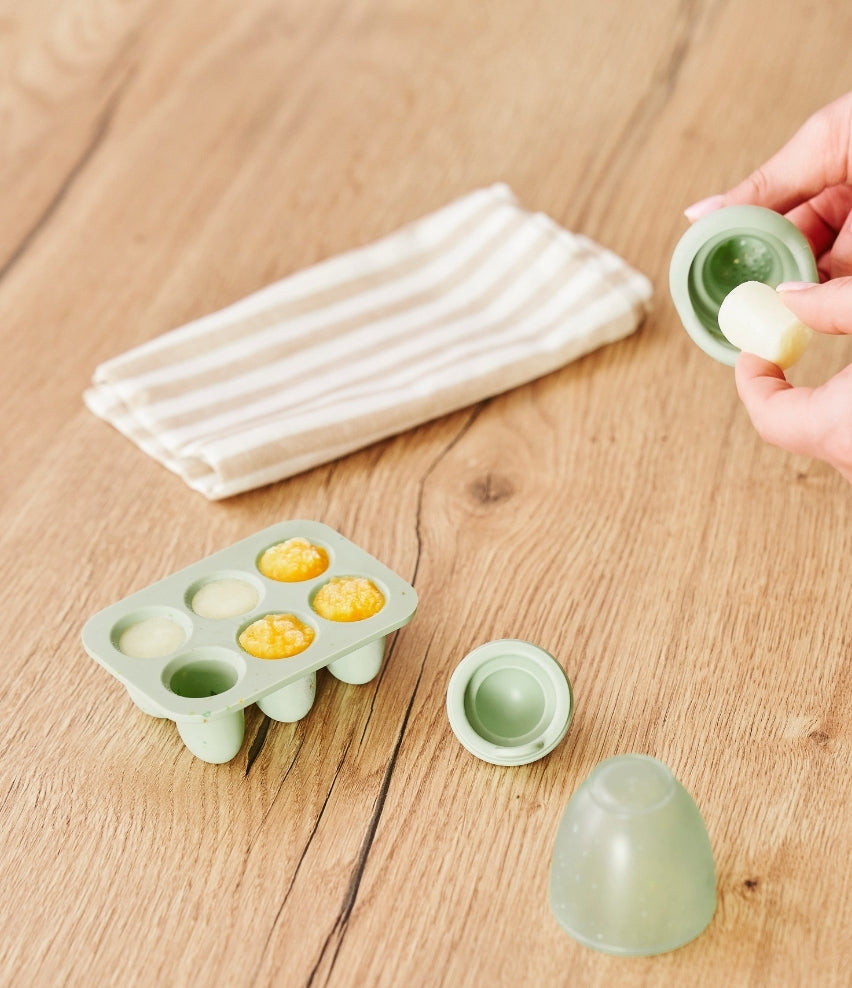Silicone Food Storage Container Freezer Moulds and Baby Feeder Set